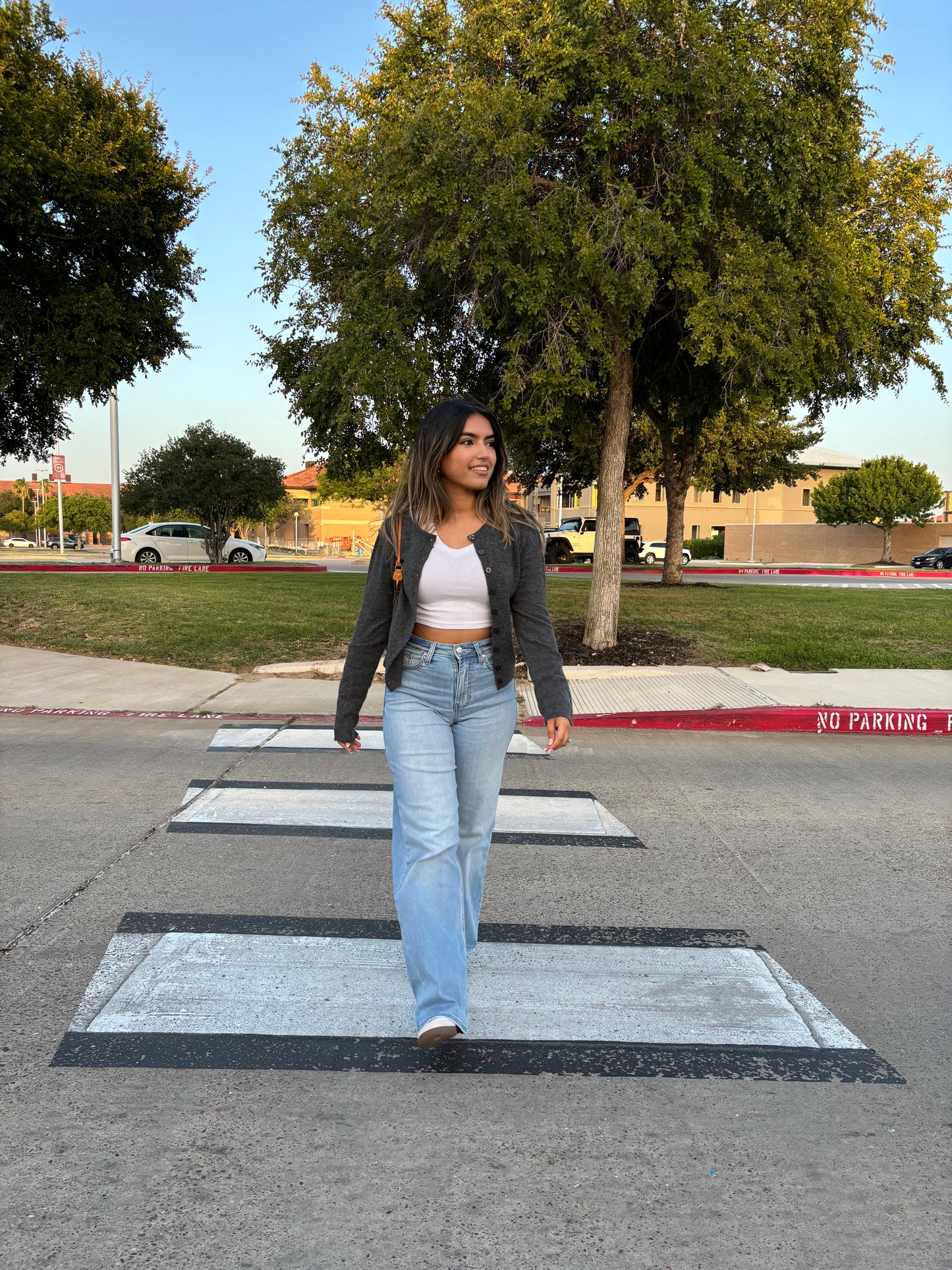 Aubrey High Rise Wide Leg Jeans