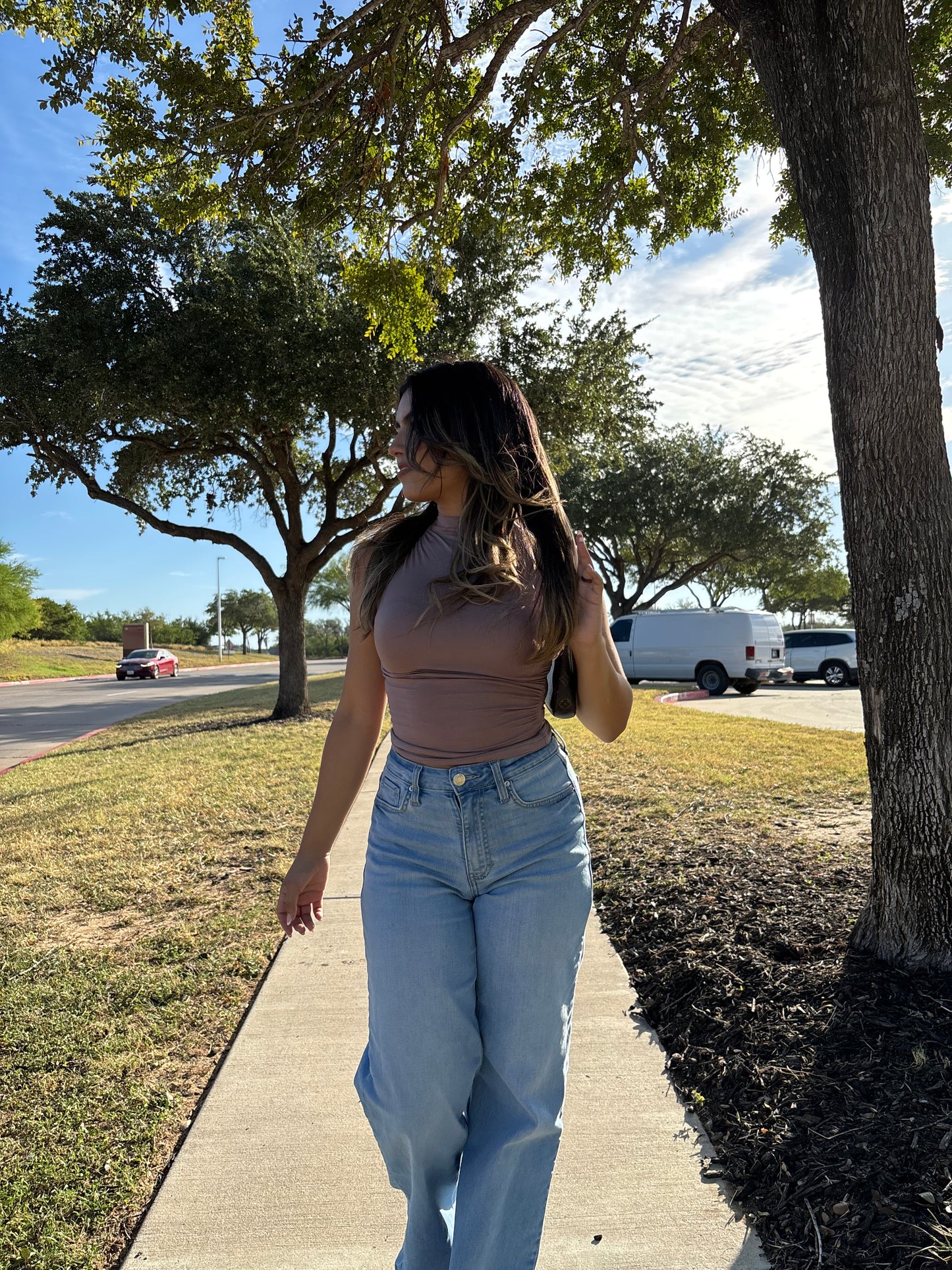 Cindy Mock Neck Top - Taupe